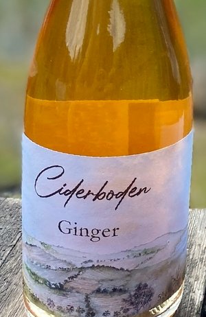 Ginger cider